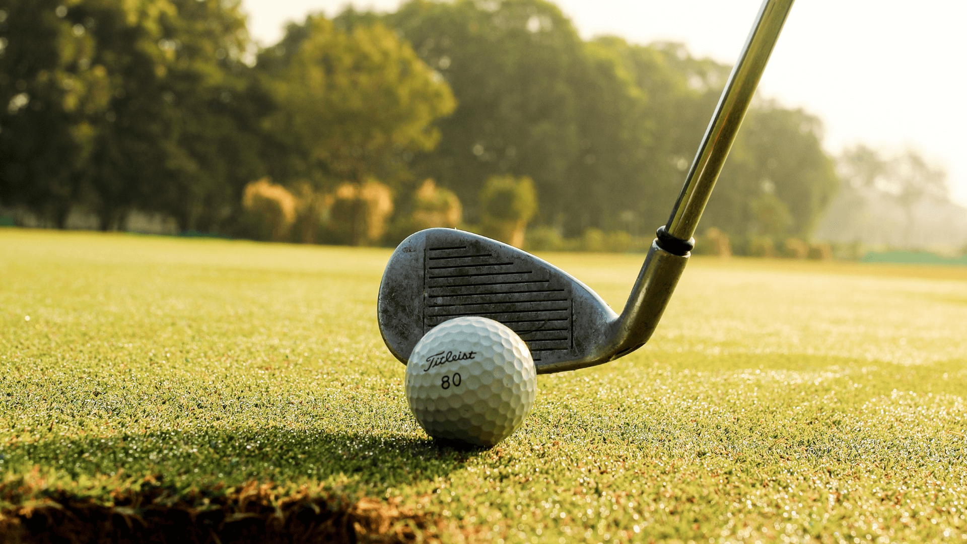Golf (2) (1) Golf
