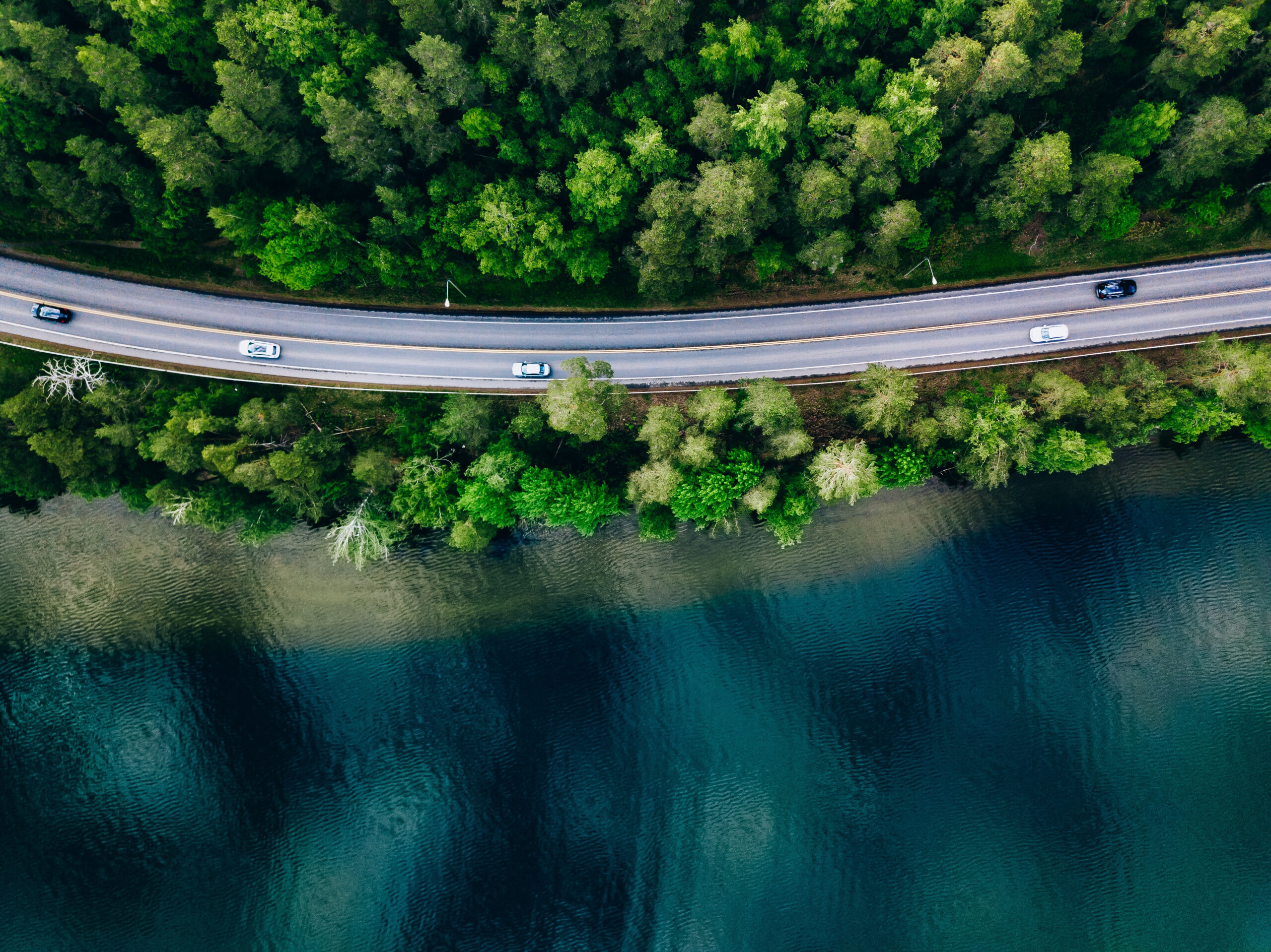 Aerial,View,Of,Road,Between,Green,Summer,Forest,And,Blue